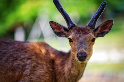 thumb 20050612%20 %20Places%20 %20Historic%20Brick%20Building%20In%20New%20York%20%282005%29